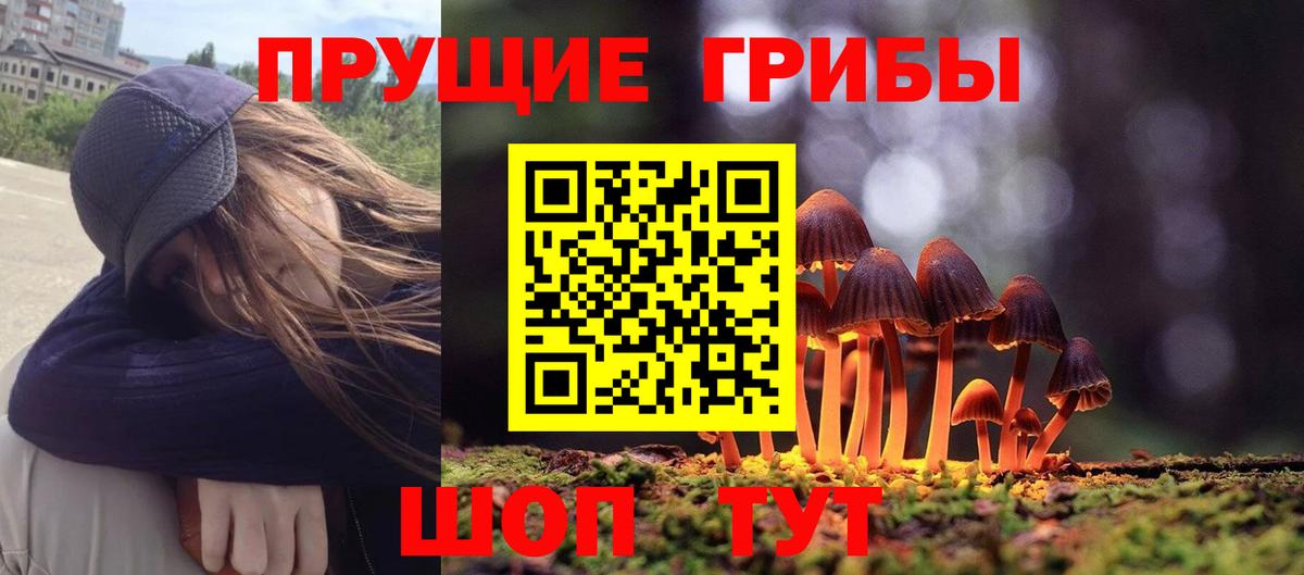 Псилоцибиновые грибы Psilocybe  хочу   Кострома  Вход с VPN 
